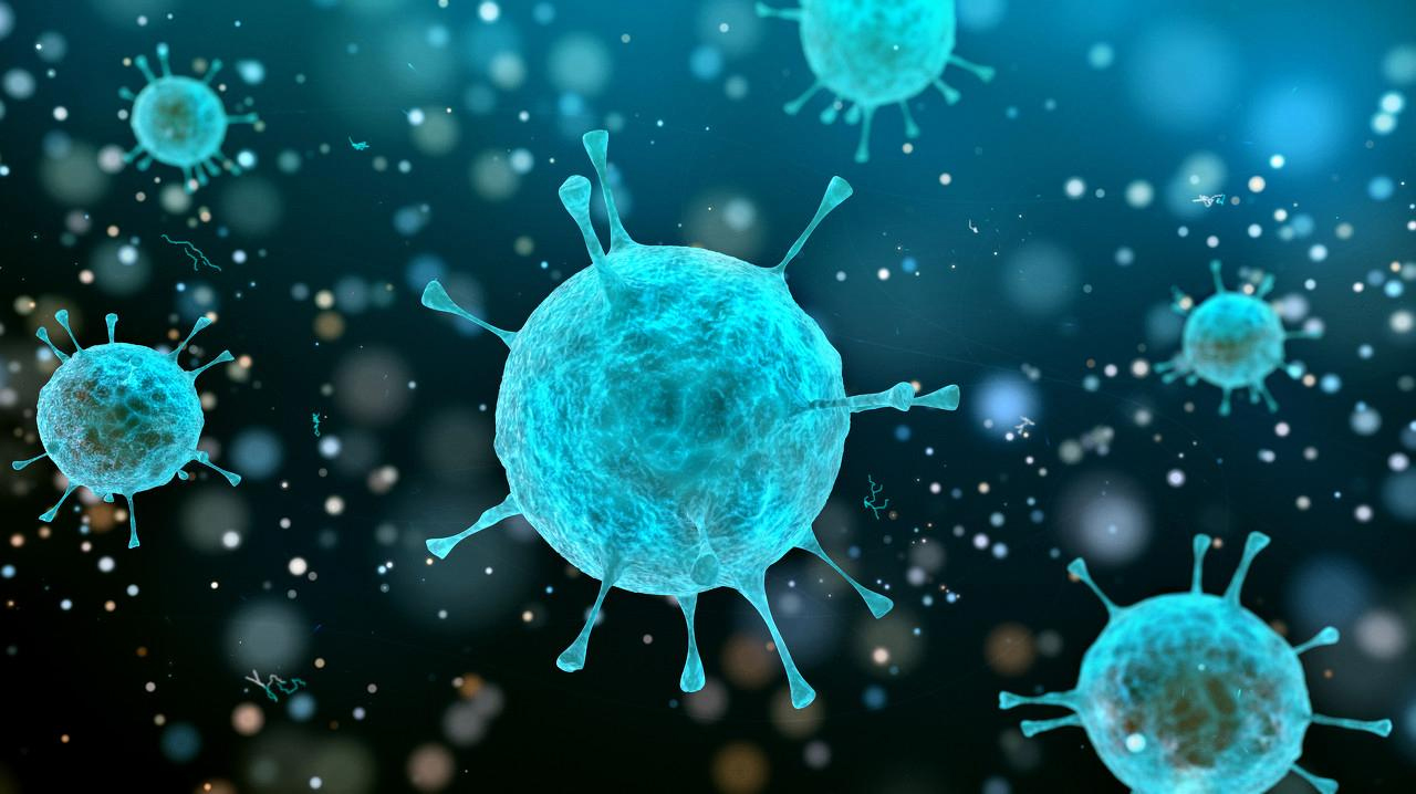 病毒生物信息学:基础、方法与应用概述-www.biaowu.com北纳标物网