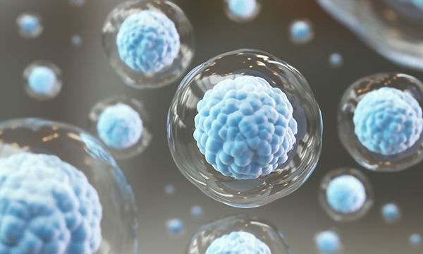 微生物群体感应系统与胚胎干细胞研究进展-培训中心-www.bncc.org.cn北纳生物
