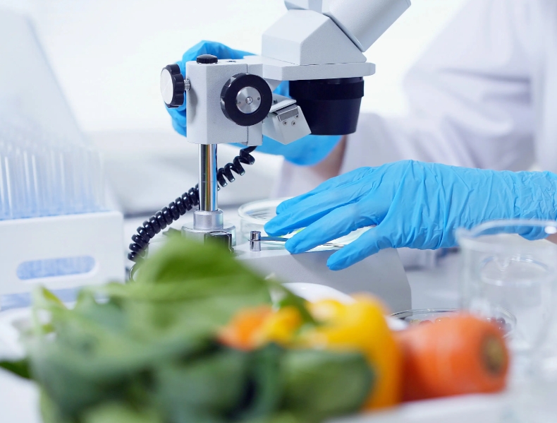 食品微生物检验标准解读——沙门氏菌检验-培训中心-www.bzwz.com伟业计量