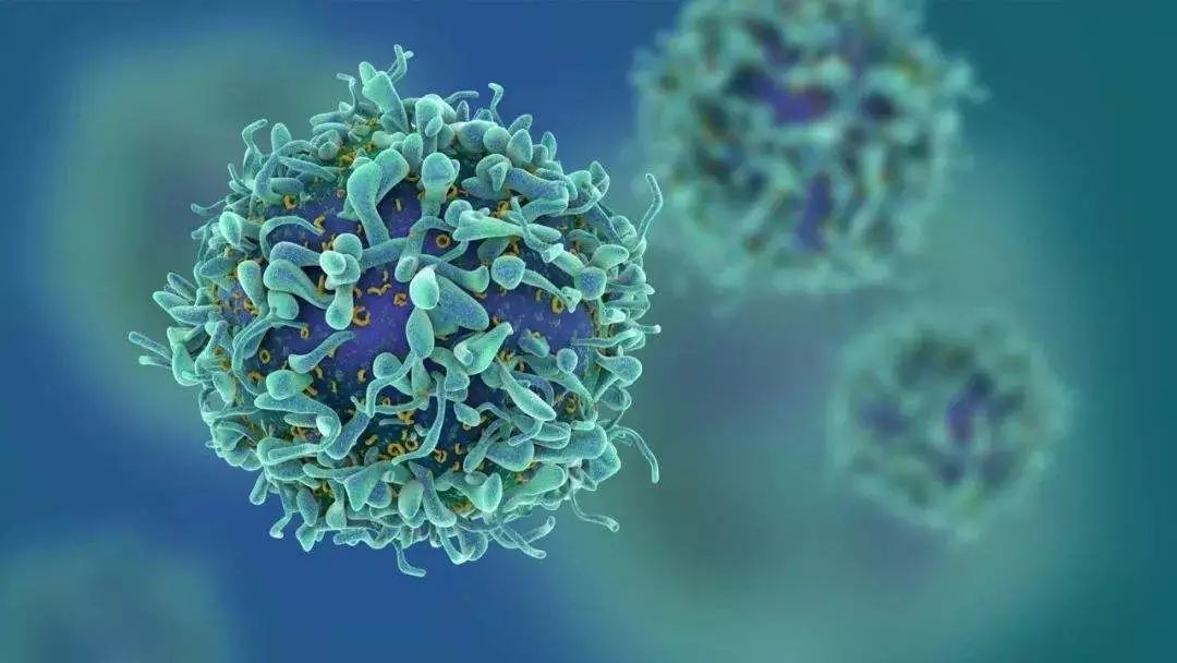 免疫應答影響NASH相關肝癌發生及口腔細菌與腫瘤的關系-培訓中心-www.artistjunctions.com北納生物