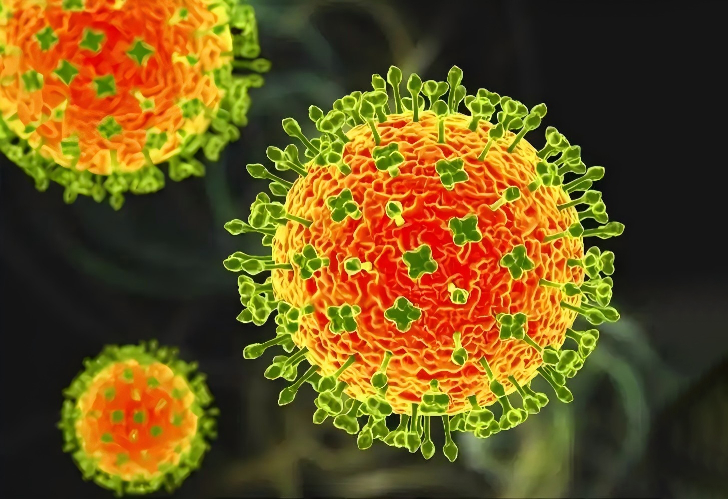 BNCC精准诊断尼帕病毒：质控品+试剂盒一体化解决方案