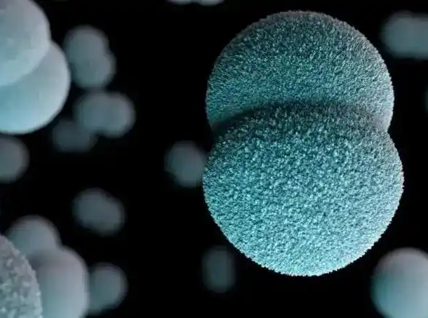 脑膜炎疫情敲响警钟！BNCC脑膜炎奈瑟菌质控品，为检测保驾护航