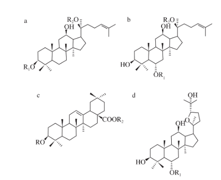 竹节参中皂苷结构类型|北纳生物