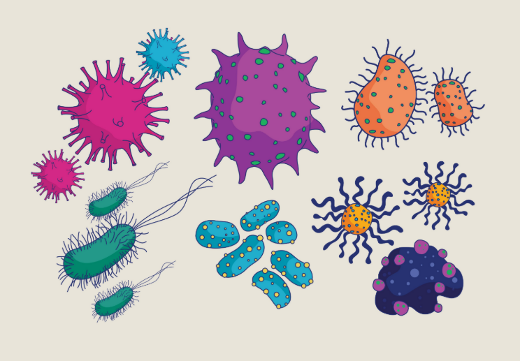 研究发现肠道细菌-宿主相互作用的新机制