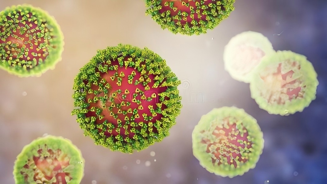 麻疹高发预警｜BNCC麻腮风病毒质控品，助力精准检测