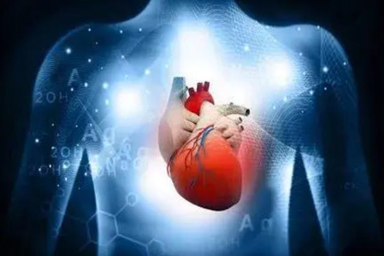 WNT4是心脏成纤维细胞靶向治疗心脏病的关键基因