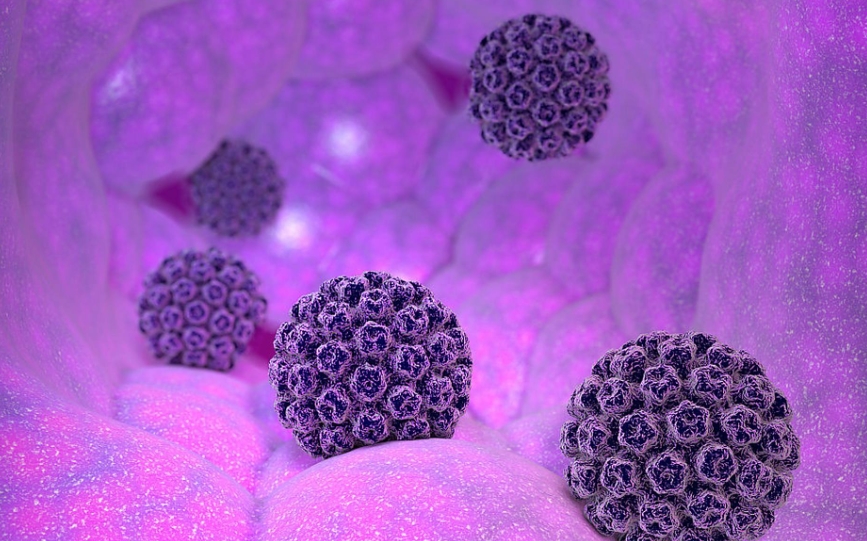 人乳头瘤病毒（HPV）E6/E7RNA标准品，筑牢科研与检测质控防线