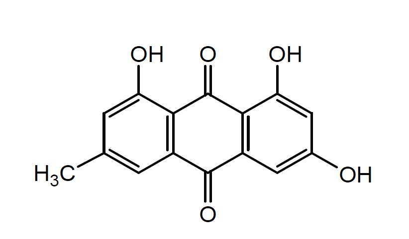 大黄素的药理及抗肿瘤作用研究
