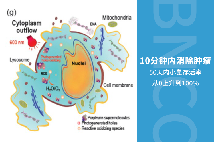 清华大学朱永法等团队开发新方法：10分钟内消除肿瘤，50天内小鼠存活率从0上升到100%