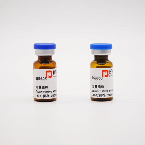 Quantitative strains of escherichia coli