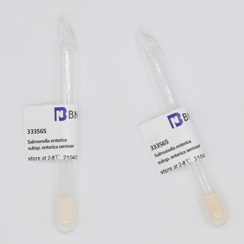 肠炎沙门氏菌肠炎亚种鼠伤寒血清型