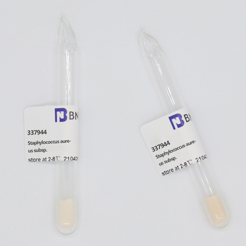 肠炎沙门氏菌肠炎亚种定量菌株