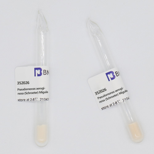 白色念珠菌基因组DNA-伟业计量