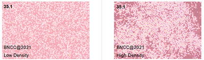 杂交瘤细胞抗CD2-伟业计量