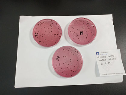 粪大肠菌群阴性对照质控样品（滤膜法）-北纳生物