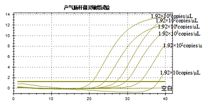 产气肠杆菌核酸检测试剂盒（荧光PCR法）