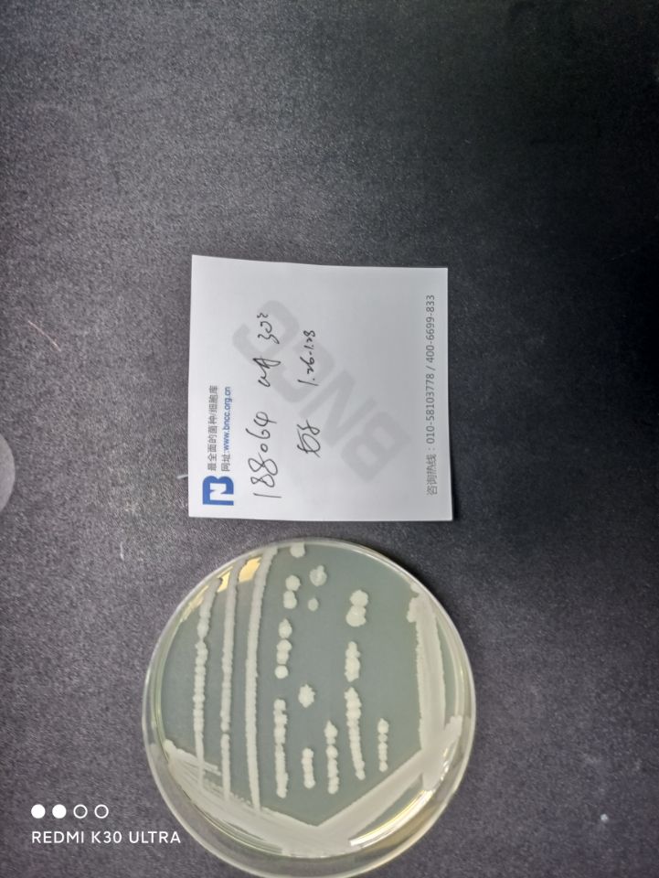 枯草芽孢杆菌枯草亚种-伟业计量