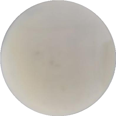 Fusarium oxysporum f. sp. niveum-伟业计量