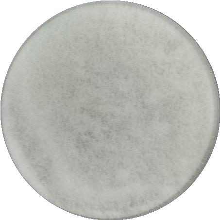 Fusarium oxysporum f. sp. niveum-伟业计量