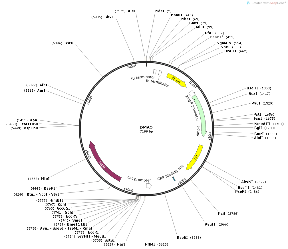 pMA5-北京晶品赛思科技有限公司