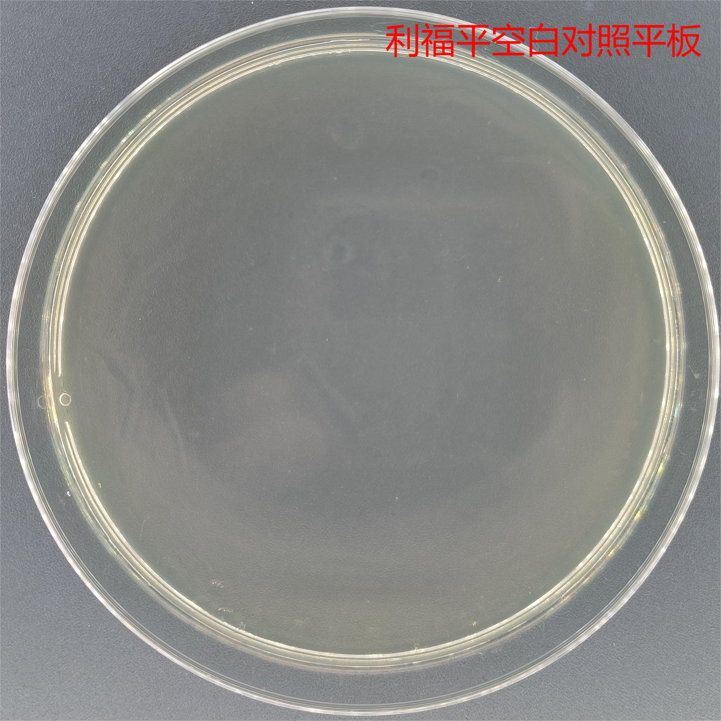 农杆菌EHA105-伟业计量