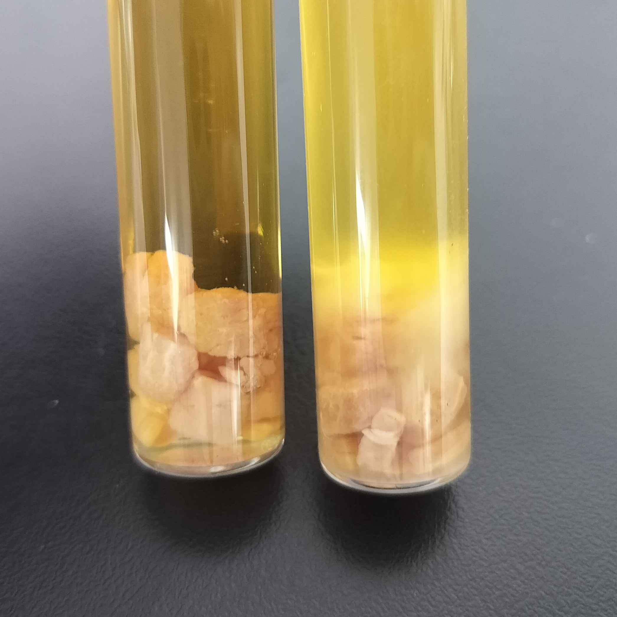 链状粪杆菌-伟业计量